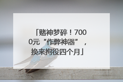 赌神梦碎！7000元“作弊神器”，换来拘役四个月
