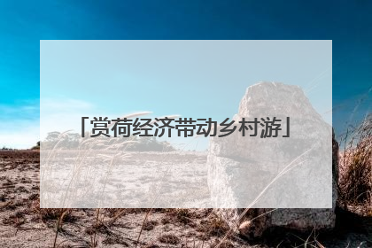 赏荷经济带动乡村游