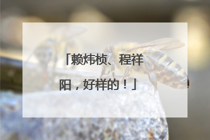 赖炜桢、程祥阳，好样的！