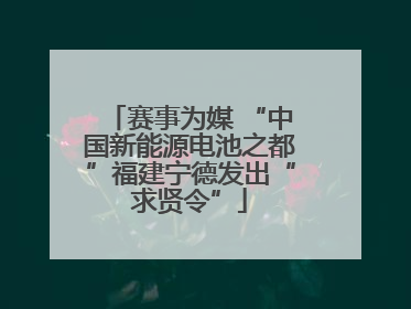 赛事为媒 “中国新能源电池之都”福建宁德发出“求贤令”