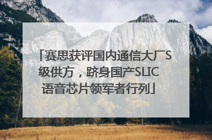 赛思获评国内通信大厂S级供方，跻身国产SLIC语音芯片领军者行列