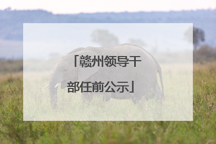 赣州领导干部任前公示
