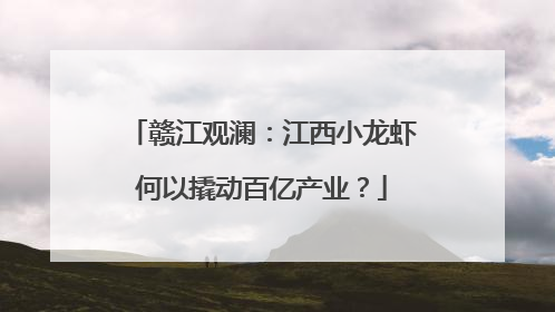 赣江观澜：江西小龙虾何以撬动百亿产业？