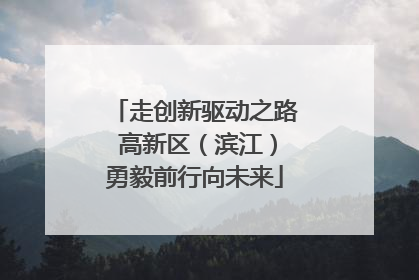 走创新驱动之路 高新区（滨江）勇毅前行向未来