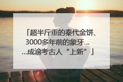 超半斤重的秦代金饼、3000多年前的象牙……成渝考古人“上新”