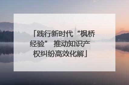 践行新时代“枫桥经验” 推动知识产权纠纷高效化解