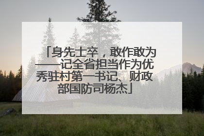 身先士卒，敢作敢为——记全省担当作为优秀驻村第一书记、财政部国防司杨杰