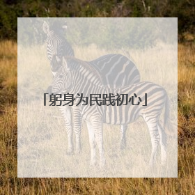 躬身为民践初心