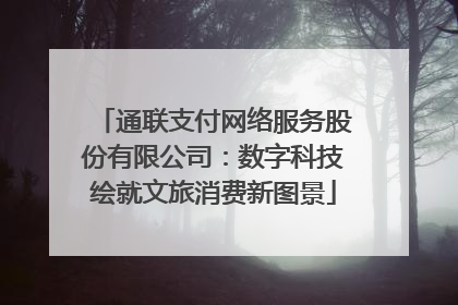 通联支付网络服务股份有限公司：数字科技绘就文旅消费新图景