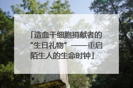造血干细胞捐献者的“生日礼物”——重启陌生人的生命时钟