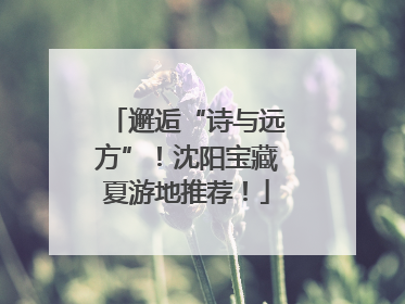 邂逅“诗与远方”！沈阳宝藏夏游地推荐！