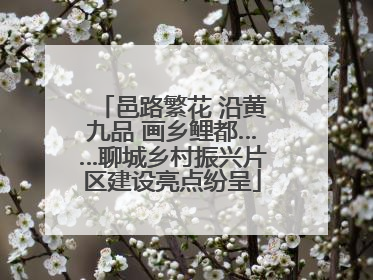邑路繁花 沿黄九品 画乡鲤都……聊城乡村振兴片区建设亮点纷呈
