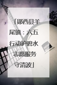 郧西县羊尾镇：六五行动护碧水 志愿服务守清波
