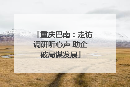 重庆巴南：走访调研听心声 助企破局谋发展