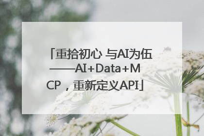 重拾初心 与AI为伍——AI+Data+MCP，重新定义API