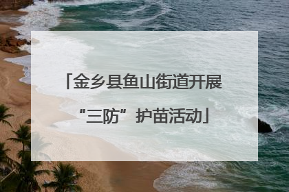 金乡县鱼山街道开展“三防”护苗活动