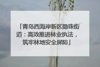 青岛西海岸新区隐珠街道：高效推进林业执法，筑牢林地安全屏障