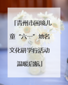 青州市困境儿童“六一”地名文化研学行活动温暖启航