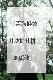 青海推坡并块提升耕地质效
