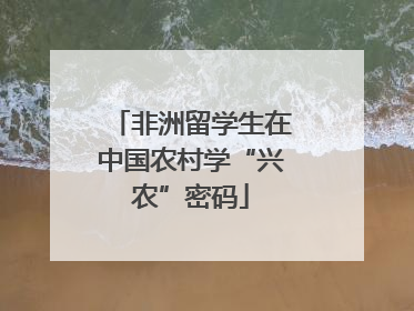 非洲留学生在中国农村学“兴农”密码
