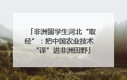 非洲留学生河北“取经”：把中国农业技术“译”进非洲田野