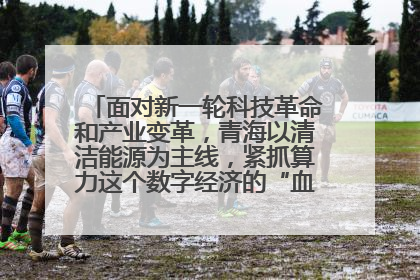 面对新一轮科技革命和产业变革，青海以清洁能源为主线，紧抓算力这个数字经济的“血液”、科技主权的“筹码”、产业升级的“杠杆”、绿色转型的“支点”，勇于撬动国家“双碳”战略、“东数西算”工程重大发展新机遇