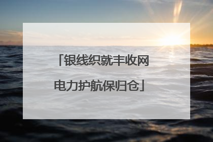 银线织就丰收网 电力护航保归仓