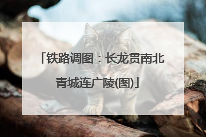 铁路调图：长龙贯南北 青城连广陵(图)