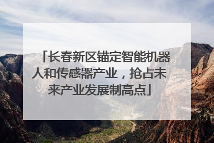长春新区锚定智能机器人和传感器产业，抢占未来产业发展制高点