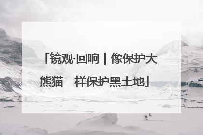 镜观·回响｜像保护大熊猫一样保护黑土地