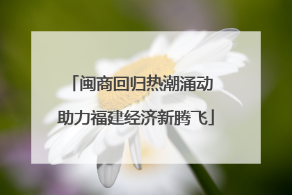 闽商回归热潮涌动 助力福建经济新腾飞
