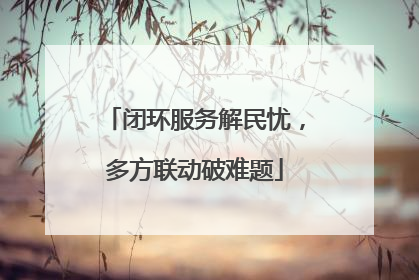 闭环服务解民忧，多方联动破难题