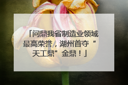 问鼎我省制造业领域最高荣誉，湖州首夺“天工鼎”金鼎！