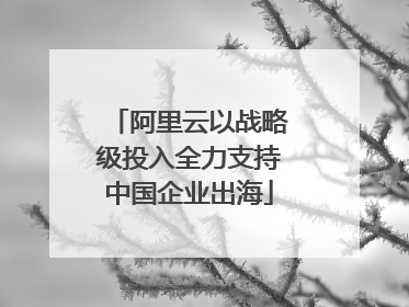 阿里云以战略级投入全力支持中国企业出海