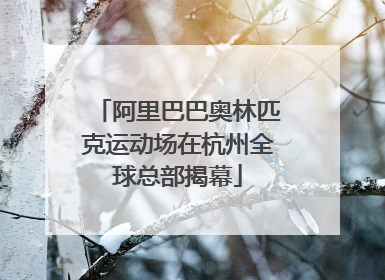 阿里巴巴奥林匹克运动场在杭州全球总部揭幕