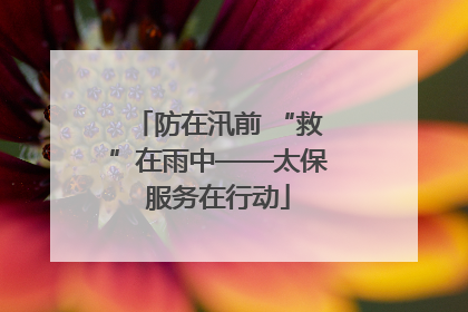 防在汛前 “救”在雨中——太保服务在行动