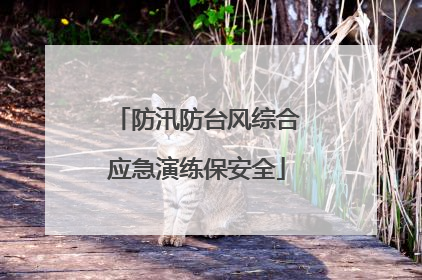防汛防台风综合应急演练保安全