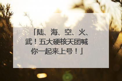 陆、海、空、火、武！五大硬核天团喊你一起来上号！