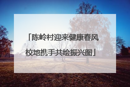 陈岭村迎来健康春风 校地携手共绘振兴图