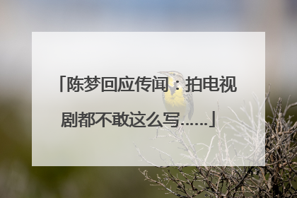 陈梦回应传闻：拍电视剧都不敢这么写……