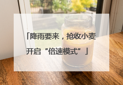 降雨要来，抢收小麦开启“倍速模式”