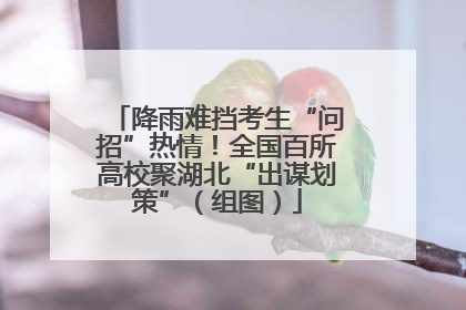 降雨难挡考生“问招”热情！全国百所高校聚湖北“出谋划策”（组图）