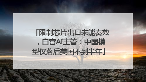 限制芯片出口未能奏效，白宫AI主管：中国模型仅落后美国不到半年