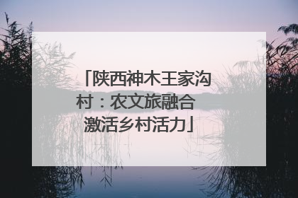 陕西神木王家沟村：农文旅融合 激活乡村活力