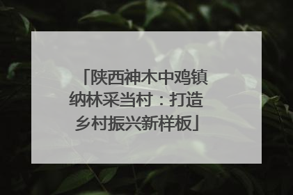 陕西神木中鸡镇纳林采当村：打造乡村振兴新样板