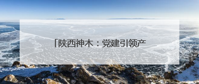 陕西神木：党建引领产业兴 乡村振兴谱新篇