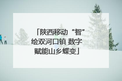 陕西移动“智”绘双河口镇 数字赋能山乡蝶变