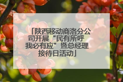 陕西移动商洛分公司开展“民有所呼 我必有应”暨总经理接待日活动