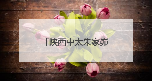 陕西中太朱家峁煤矿荣获榆林市2024年安全生产先进企业称号