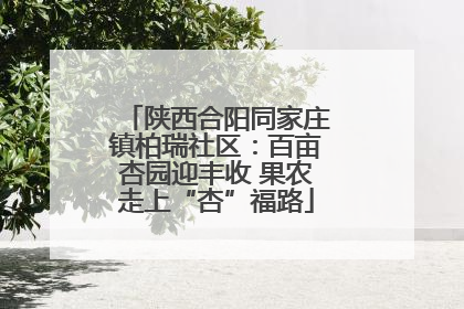 陕西合阳同家庄镇柏瑞社区：百亩杏园迎丰收 果农走上“杏”福路